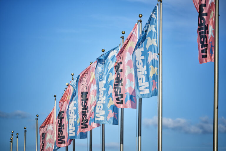 A row of colorful flags with various designs and messages fluttering in the wind against a blue sky backdrop.