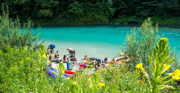 A group of people enjoying a sunny day by the side of a clear turquoise river with greenery and wildflowers in the foreground.