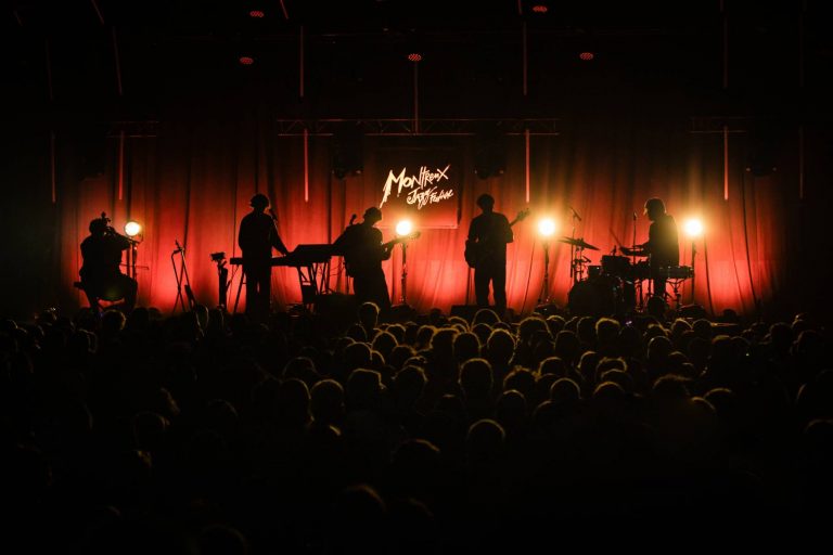 Tamino silhouette on stage during a live concert with a crowd of people in the foreground, illuminated by stage lights with a 
