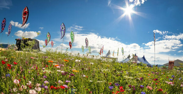 Colorful flags stand among a vibrant field of wildflowers with festival tents in the background, under a sunny blue sky.