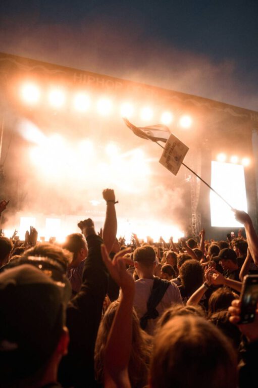A vibrant crowd at a music festival with one person holding up a flag, stage lights creating a silhouette effect, and the words 