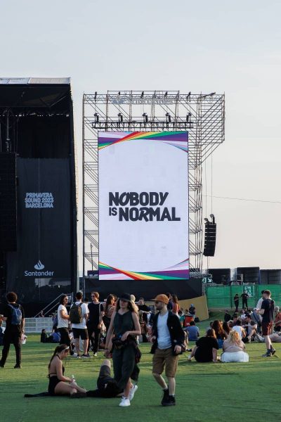 Outdoor music festival scene with a large screen displaying "NOBODY IS NORMAL" and attendees lounging and walking on grass.