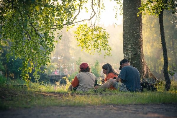 Three people sitting under a tree in a park, enjoying a sunny day, with soft sunlight filtering through the leaves.