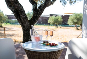 Outdoor round white table with a wicker base holding a bucket of ice with a bottle and two glasses of pink drink, with a small plate of snacks, set in a sunny garden with trees and chairs nearby