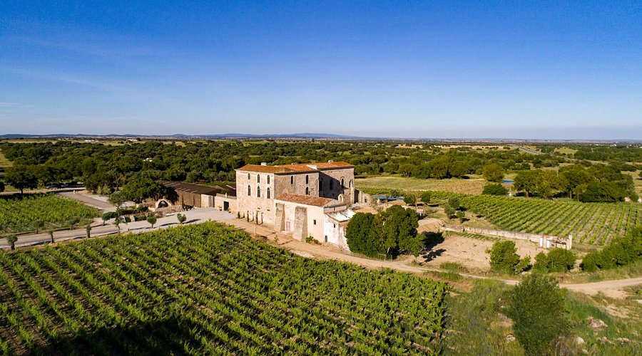 A large stone farmhouse with a red tile roof surrounded by green vineyards and trees under a clear blue sky in a rural landscape.