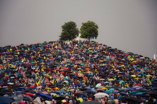 Large crowd of people gathered on a hill holding colorful umbrellas under a gray sky with two trees and a small structure at the top.